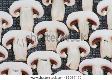 The slices of raw white champignons from grey background