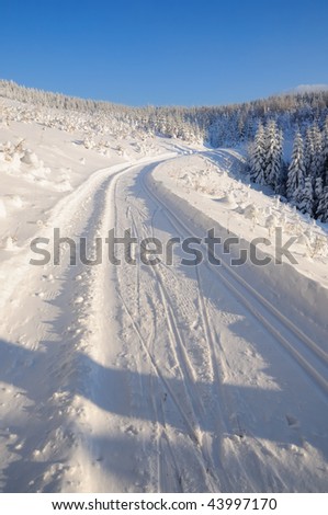 Cross country track in a snowy forest on the Turmkogel mountain in Lower Austria on a sunny summer winter day