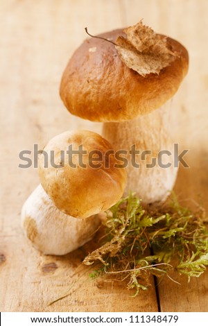 still life with white boletus mushrooms on wooden box, shallow dof