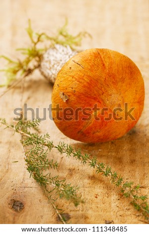 orange-cap boletus mushroom on aspen wooden board , shallow dof