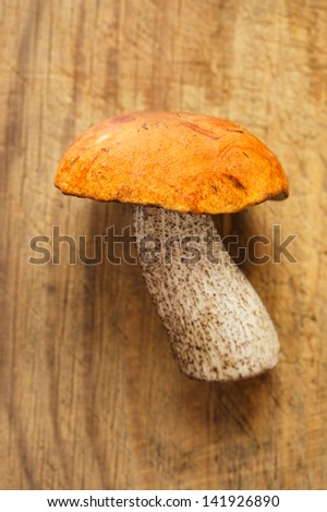 orange-cap boletus mushroom on aspen wooden board , shallow dof