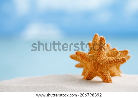 red starfish with ocean, beach, sky and seascape, shallow dof