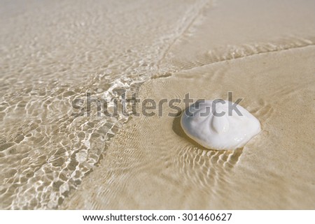 white sand dollar on a beach under sea wave, sand background