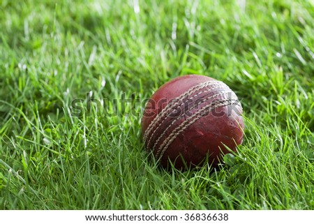 old well used cricket ball in a grass, shallow DOF