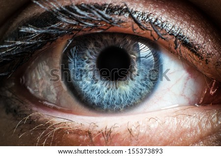Blue human eye extreme macro shot
