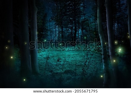 Fantasy night forest under moonlight. 3d illustration. Stockfoto © 