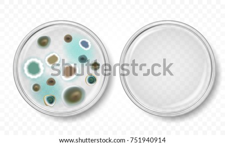 Vector petri dish with molds