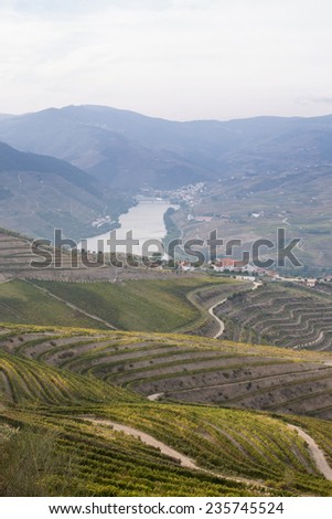 Panoramic view of Douro Valley - Portugal\'s port wine region. Point of interest in Portugal.