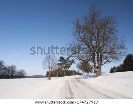 Wintry landscape with road, meadow and trees covered in snow