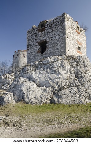Ruin of the medieval central-european castle Devicky in Czech republic