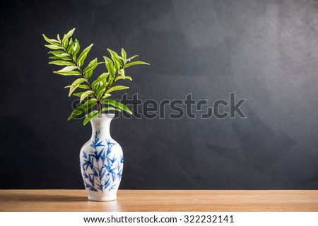 still life photography : small branch of Wrightia religiosa\
Benth. on vintage blue and white ware vase with space of art dark background