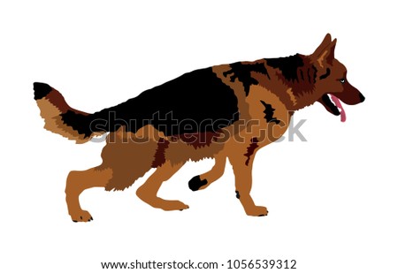 Portrait of German Shepherd running dog vector illustration isolated. German Shepherd beware of dog. Finder detects military explosives and drugs. Rescue activity police dog. Blind person support.