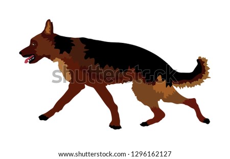 Portrait of German Shepherd running dog vector illustration isolated. German Shepherd beware of dog. Finder detects military explosives and drugs. Rescue activity police dog. Blind person support.