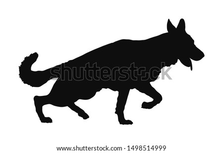 Portrait of German Shepherd running dog vector silhouette isolated. German Shepherd. man's best friend. Lovely pet running. Dog show exhibition. Finder detect explosives and drugs. Rescue finding dog.