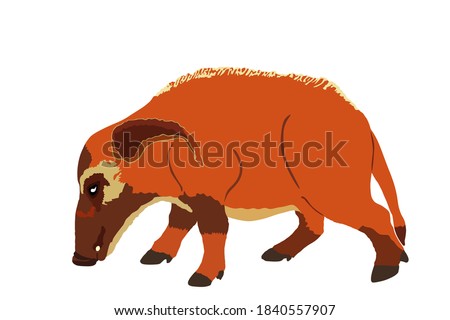 Red river hog vector illustration isolated on white background. Bush pig symbol. Potamochoerus porcus.