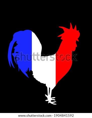 French flag over rooster vector silhouette isolated on black background. Republic of France national symbol flag over chicken male.