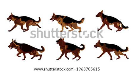 Portrait of German Shepherd running dog vector illustration isolated. Man's best friend. Lovely pet. Dog show exhibition. Finder detect explosives and drugs. Rescue finding dog. Smart animal.