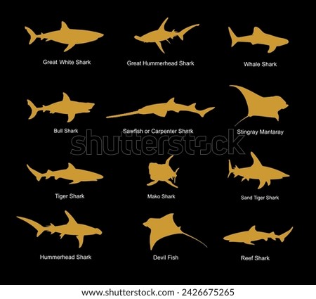 Collection of gold shark set vector silhouette illustration isolated. Great white, bull shark, devil ray, hammerhead, stingray, manta ray, reef shark, whale shark, saw fish. Predator fish sea, ocean.