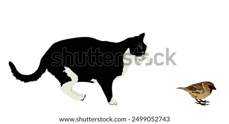 Fat hungry cat chasing bird vector illustration isolated. Cat lurking to eat sparrow. Feline hunter hunting prey. Ambush cat catch little bird for dinner. Domestic farm predator. Home pet in  hunt.