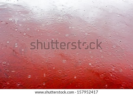 Close-up image of raindrops and rippled water during heavy rainfall on the red path and clouds reflected in a pool of light