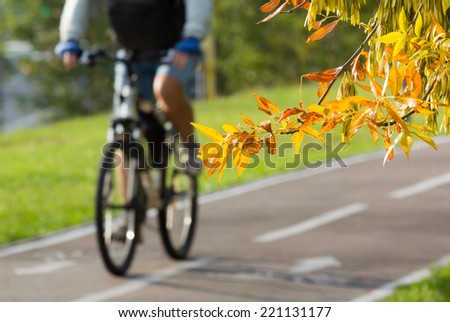 Tree branch with yellow  and orange leaves and cyclist on an asphalt bike path in the background