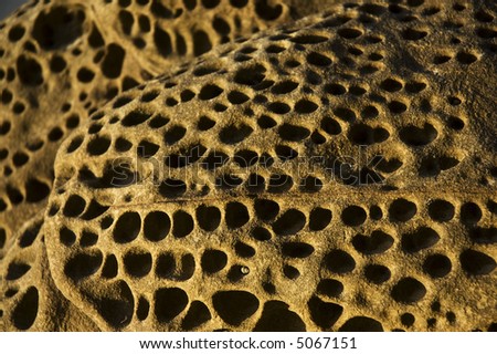 An Unusual Naturally Textured Porous Rocks On The Beach Stock Photo ...