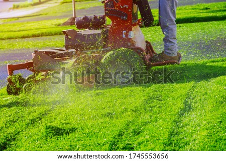 Home garden grass gardener cutting lawn grass with lawn mower man using a lawn mower a gardener cutting grass by lawn mower