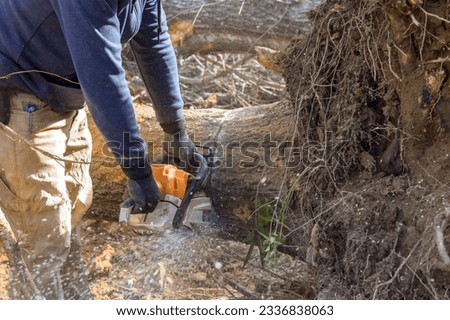 Similar – Image, Stock Photo fallen branch after storm on the meadow under trees