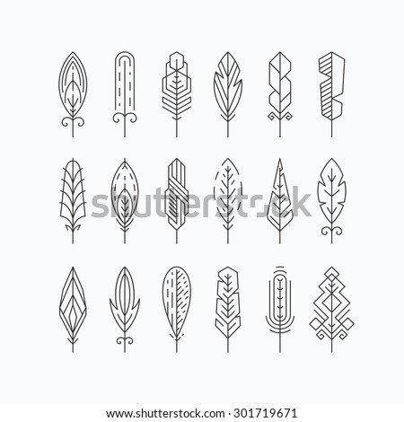 Graphical mono line feathers set. Design elements or linear signs. Isolated. 