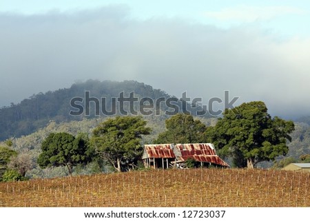 Old building and vineyard in the Hunter Valley