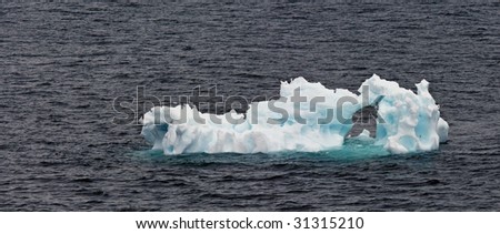 Iceberg on the Antarctic Peninsula