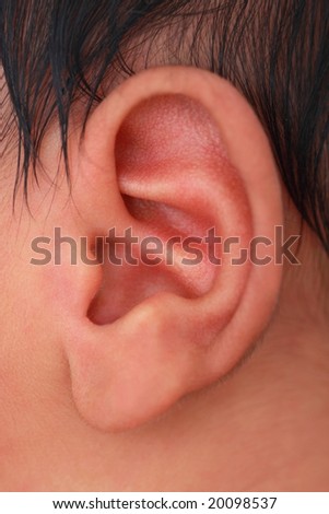 close-up of baby's left ear