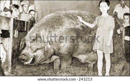 Vintage Photo of a Girl Next To a Huge Pig