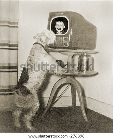 Vintage Photo of a Dog Watching the Television