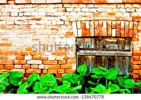 Old Window Green plants growing in front of a wall with red bricks