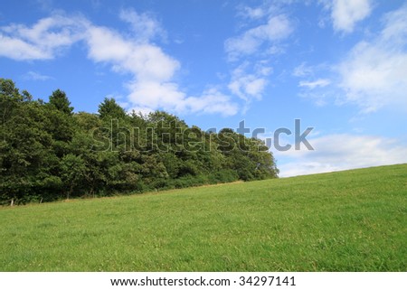 green grass, trees and blue sky