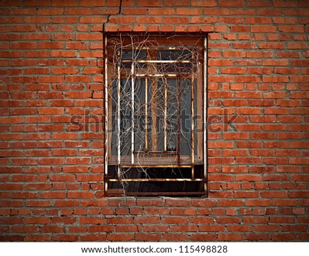 Closed window under rusted grating on aged brick wall