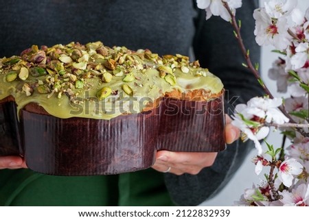 Colomba di Pasqua in the woman shef hands, traditional italian easter dove cake with green pistachio glaze,  fresh spring flowers, pasqua cake Stok fotoğraf © 