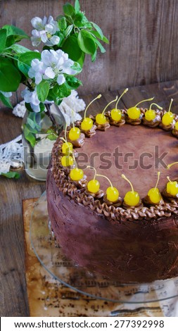 Chocolate cake with Maraschino cherry