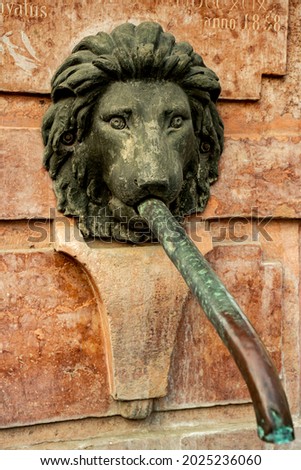 Detail of Fountain Four Lions in Sremski Karlovci, Serbia. It is designed by Giuseppe Aprili and opened at 1799 . Imagine de stoc © 