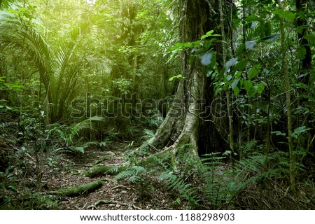 Lush Green