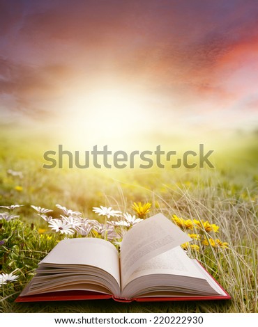 Open book in spring scene