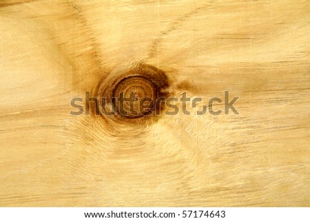 Close-up of knot in timber panel.
