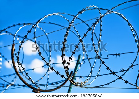 Wired fence with rolled barbed wires on blue sky background