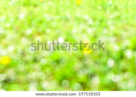 Natural summer defocused background in green colors ,  grass after rain