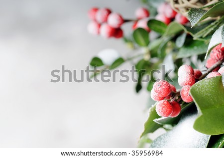 Similar – Image, Stock Photo frozen red berries on a snowball bush