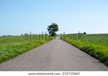 Country road surrounded of trees like a green tunnel of leaves