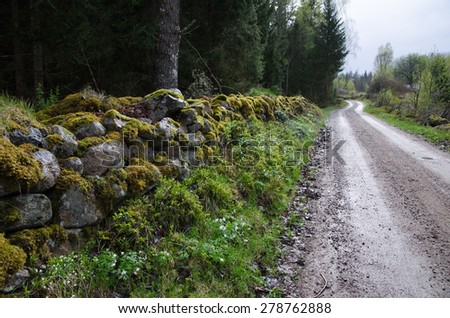 Old winding gravel road with a mossy stone wall and blossom windflowers