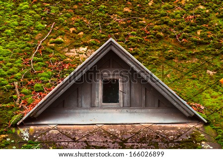 Mossy Roof With Triangle Window