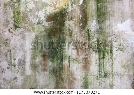 Similar – Image, Stock Photo patina Pattern filth Old